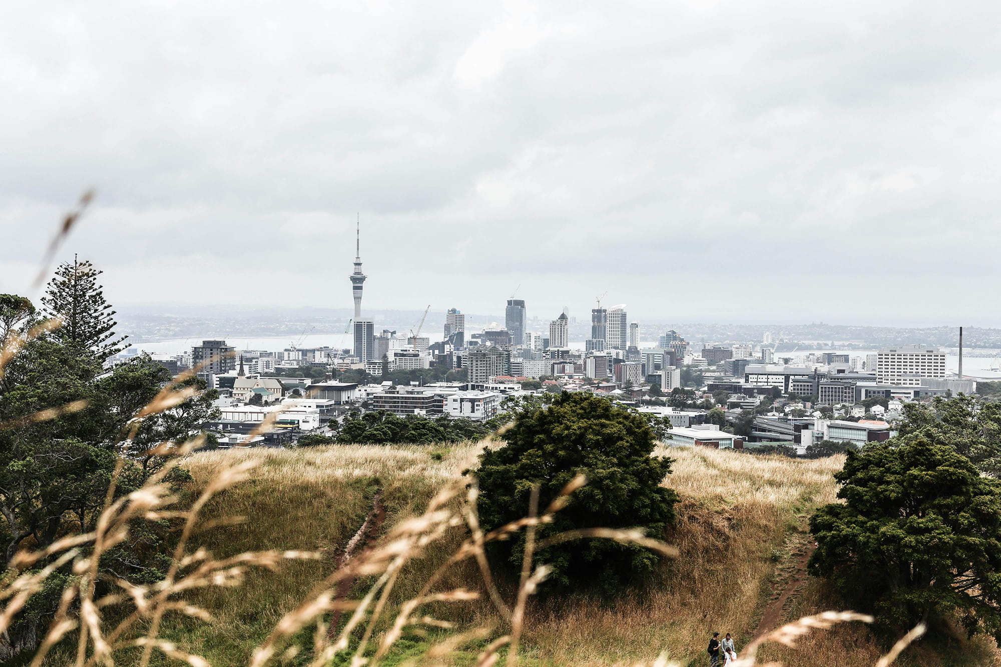 Auckland skyline viewed from One Tree Hill